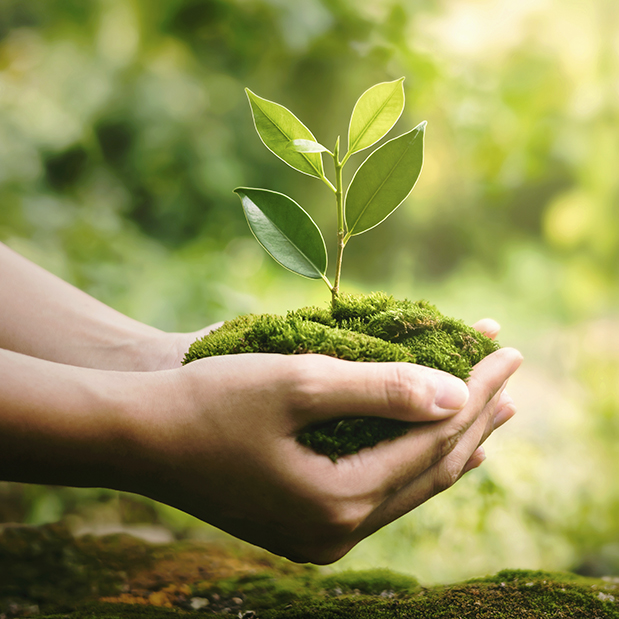 ISO 14001