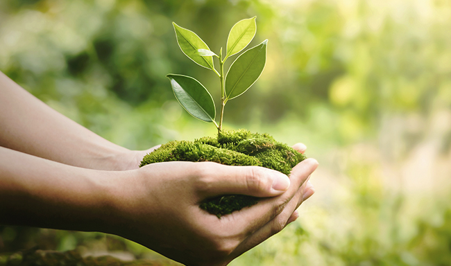 ISO 14001